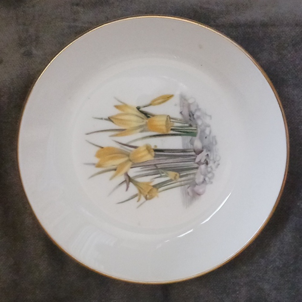 Royal Worcester Fine Bone China England Daffodils